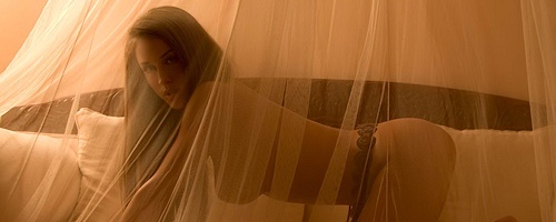 Rebecca DiPietro – Łóżko z moskitierą